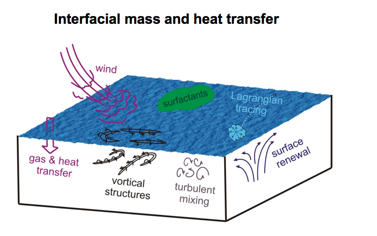 Interfacial mass and heat transfer